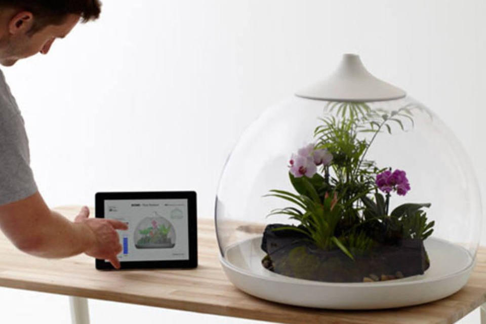 Designer cria jardim que é mantido vivo pelo iPad