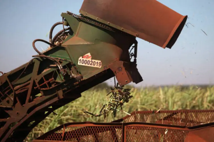 Colheita de cana de açúcar da Biosev em uma fazenda perto de Colombia, Brasil (Dado Galdieri/Bloomberg)