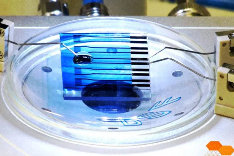 
	Biossensor port&aacute;til e de baixo custo desenvolvido por pesquisadores do Laborat&oacute;rio Nacional de Nanotecnologia: trata-se de um dispositivo eletr&ocirc;nico manufaturado
 (Reprodução/Reprodução)