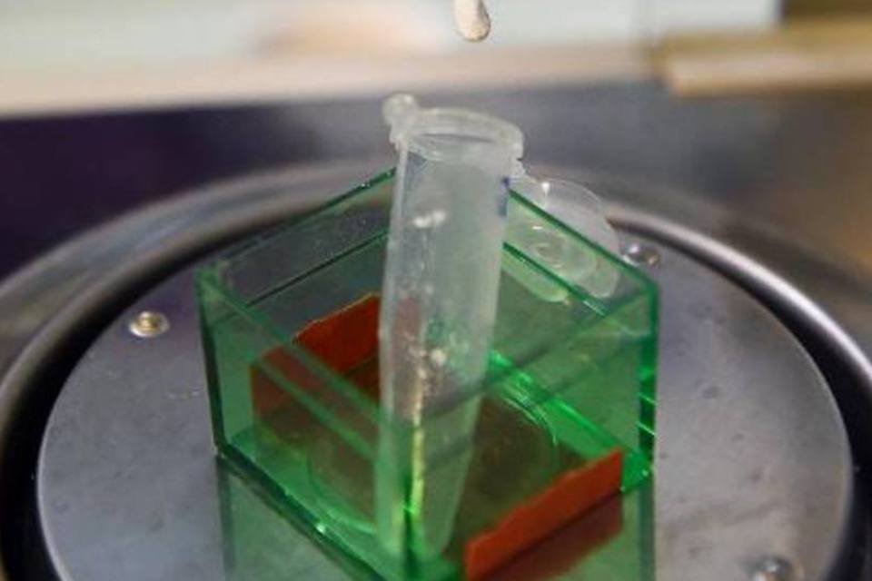 Laboratório francês diz ter criado espermatozoide in vitro
