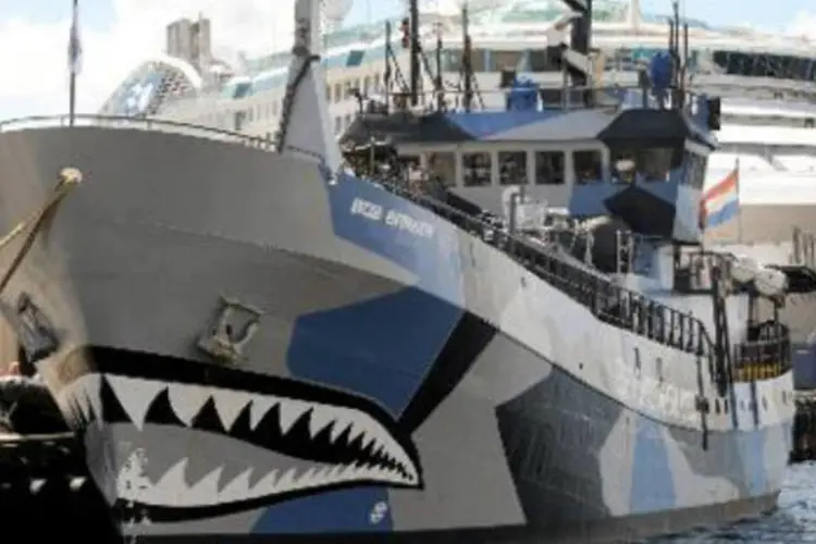 O navio Bob Barker, da organização ambientalista Sea Shepherd: navio chocou-se com um baleeiro japonês no oceano Austral no domingo (William West/AFP)