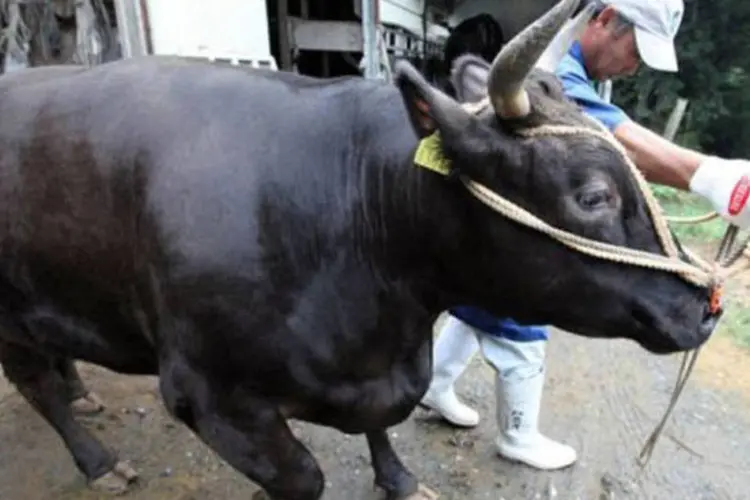 O embargo à carne bovina procedente dos municípios de Iwate, Fukushima e Tochigi foi totalmente cancelado
 (Jiji Press/AFP)