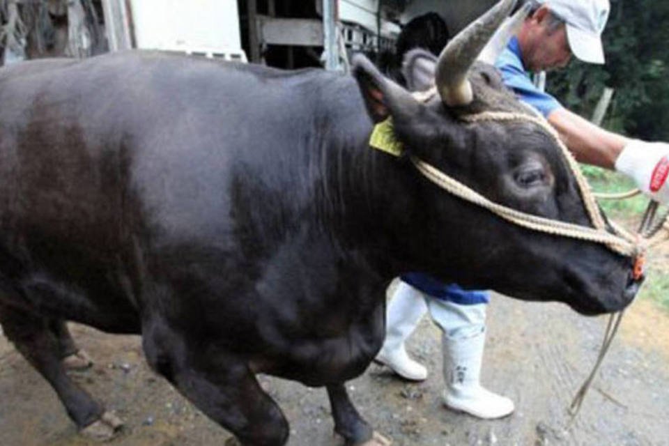 Japão libera venda de carne bovina do nordeste do país