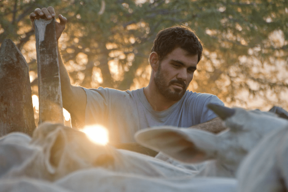 Filme brasileiro leva prêmio especial do júri em Veneza