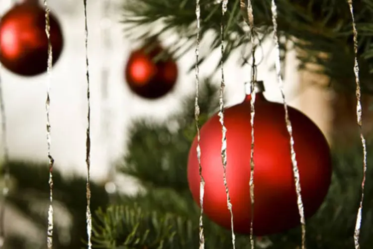 
	Enfeites em &aacute;rvore de Natal: luzinhas nas &aacute;rvores apenas no per&iacute;odo natalino e amarradas com materiais menos agressivos
 (Stock Xchng)