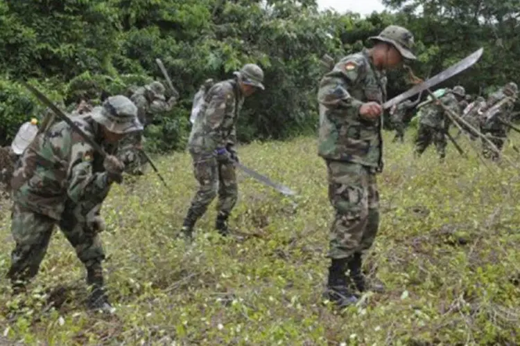 
	Soldados bolivianos da unidade de erradica&ccedil;&atilde;o da coca&iacute;na em Chinahota, Chapare: A Bol&iacute;via &eacute; um pa&iacute;s produtor de coca&iacute;na, da mesma forma que Peru e Col&ocirc;mbia
 (Aizar Raldes/AFP)