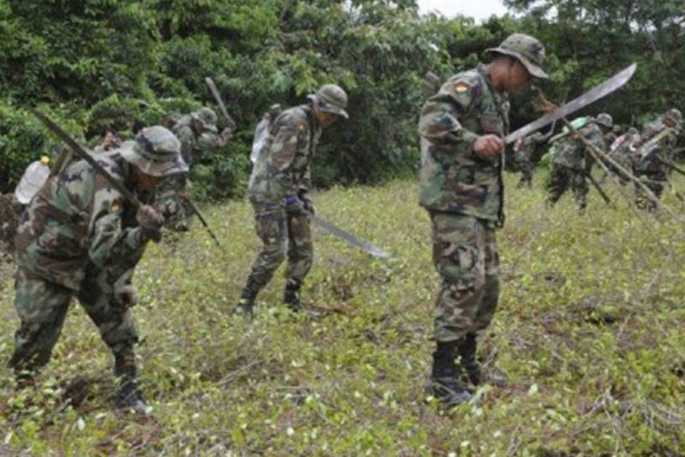 Luta antidrogas melhorou após expulsão da DEA, diz Bolívia