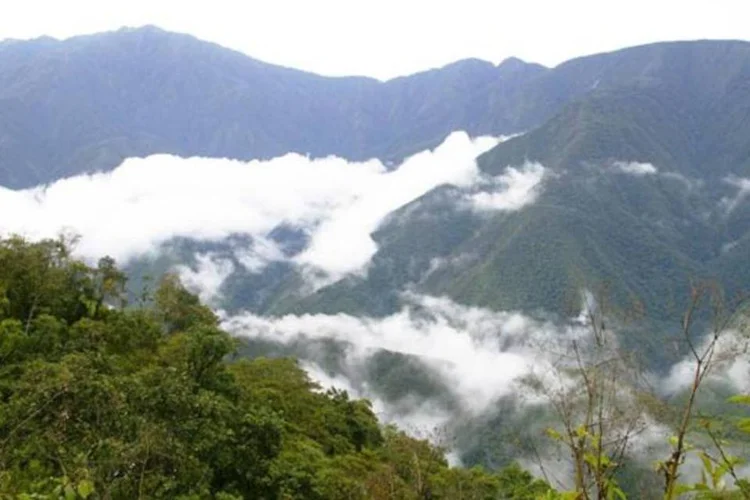 A aeronave desapareceu enquanto fazia um sobrevoo na região de Los Yungas para analisar o cultivo de coca (Elias Bizannes/Wikimedia Commons)