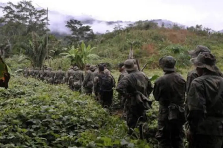 
	Soldados bolivianos buscam planta&ccedil;&otilde;es de coca: o tr&aacute;fico de coca&iacute;na boliviana envolve entre 115 e 250 toneladas anuais
 (Aizar Raldés/AFP)