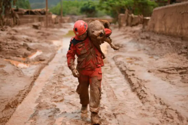 
	Bento Rodrigues: a Samarco dever&aacute; desembolsar aproximadamente R$ 20 bilh&otilde;es para recuperar toda a bacia do Rio Doce em 15 anos
 (Douglas Magno / AFP)