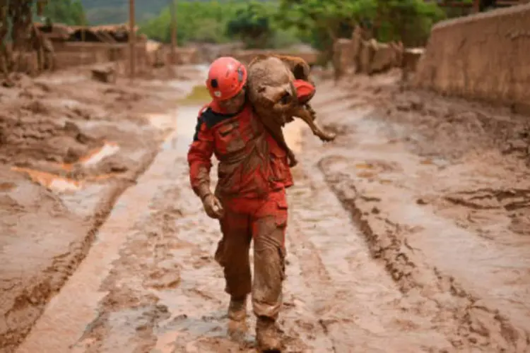 
	Mariana: escavadeira havia sido alugada pela prefeitura da cidade para limpar a lama acumulada por rompimento de barragem da Samarco
 (Douglas Magno / AFP)