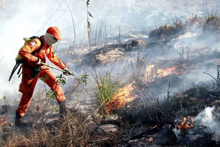 
	Inc&ecirc;ndio na Chapada Diamantina: o fogo no parque come&ccedil;ou em setembro e desde novembro as chamas ganharam for&ccedil;a
 (Mateus Pereira/Governo da Bahia)