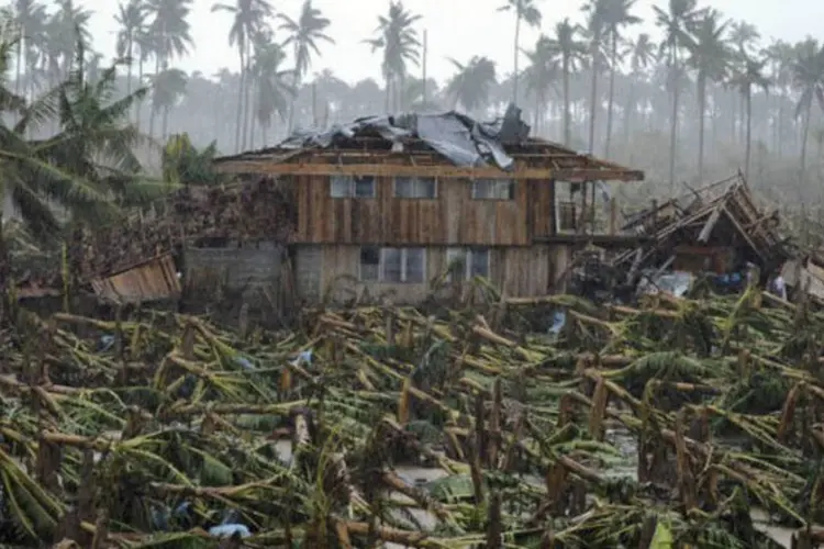 Tufão Bopha: no total, 115.000 casas foram destruídas e mais de 116.000 pessoas continuam morando em abrigos provisórios (AFP/Ted Aljibe)