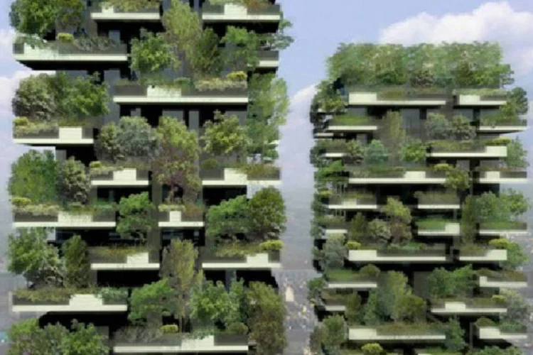 Ele hospedará aproximadamente 900 árvores, o que equivale 10.000 m² de floresta em um terreno plano (Divulgação)