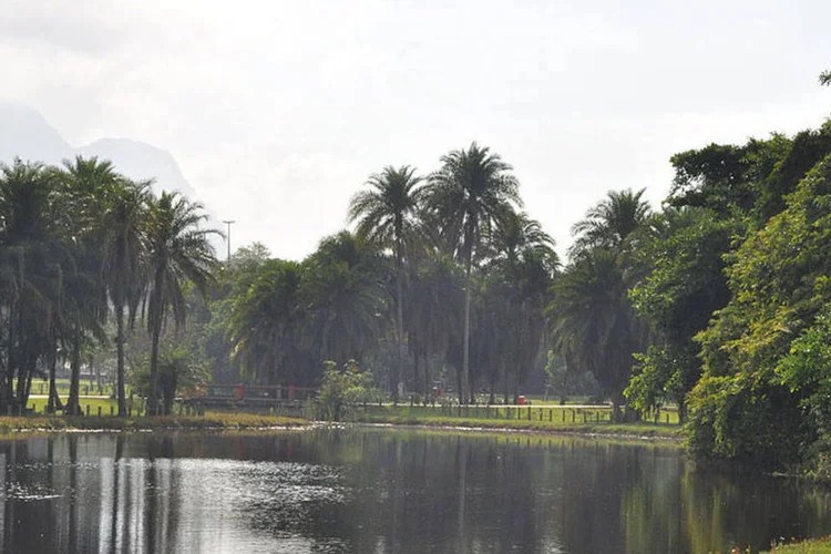 
	Lago no Bosque da Barra: o bosque, de 50 hectares, &eacute; reduto de pelo menos 40 jacar&eacute;s
 (Edson S. Moreira/WikimediaCommons)