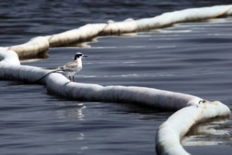 As tentativas de limpeza e contenção do vazamento conseguiram captar cerca de 800 mil barris de petróleo que vazaram pelo poço (.)