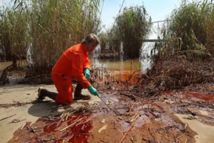 Biólogo do Greenpeace observa estrago feito pelo óleo na costa da Louisiana (.)