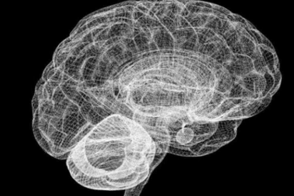 Cientista afirma que criou cérebro humano em laboratório
