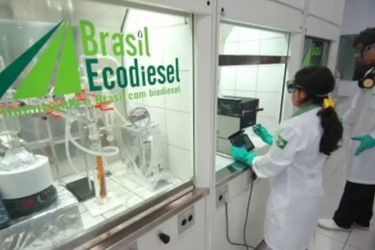 Brasil Ecodiesel: entrada no Ibovespa graças à base de investidores pessoas física, que controlam 50% do capital da companhia  (.)