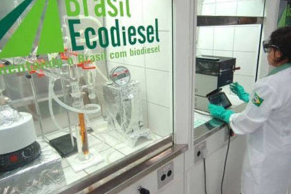 Ações da Brasil Ecodiesel disparam após empresa receber selo social