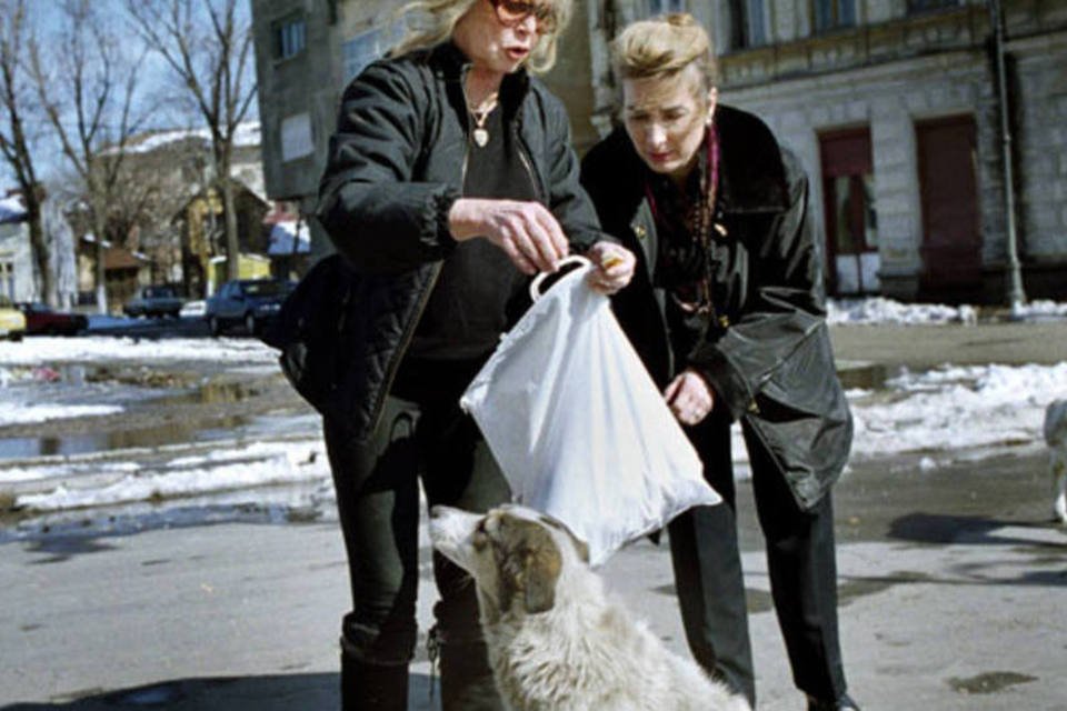 Brigitte Bardot lidera campanha contra sacrifício de animais