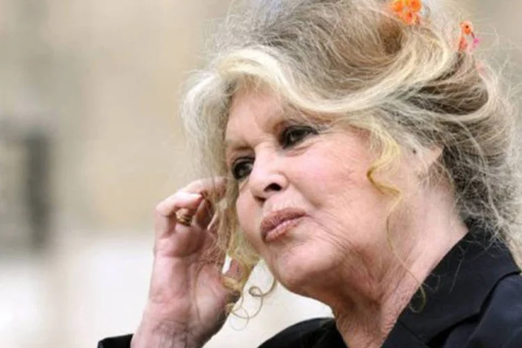 Bardot ressaltou que Dilma "não pode como presidente, como mulher, como ser humano, aceitar esta desgraça bárbara"
 (Eric Feferberg/AFP/AFP Photo)