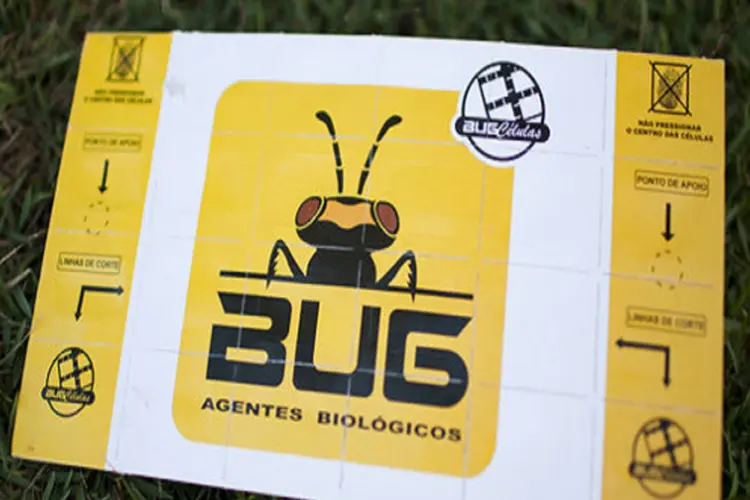 A cartela da Bug consegue proteger 1 hectare de plantação. São 24 células destacáveis contendo ovos de vespas, colocadas a cada 20 metros de lavoura (Jéssica Mangaba/Veja)