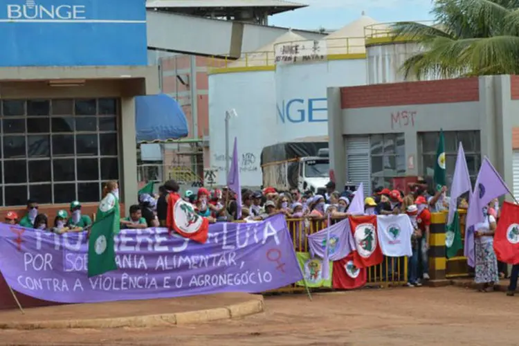 
	Cerca de 300 mulheres da Via Campesina ocupam a multinacional Bunge, em Luzi&acirc;nia (BR 040): protesto faz parte da Jornada de Lutas das Mulheres Camponesas
 (Antonio Cruz/Agência Brasil)