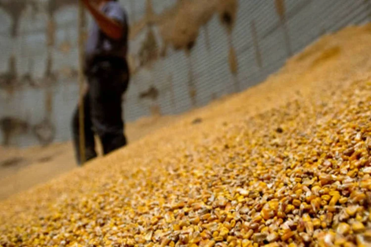 Funcionário dentro de um moinho para armazenamento de milho em Kalida, Ohio (Ty Wright/Bloomberg)
