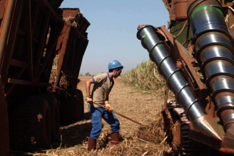 
	Louis Dreyfus: a Louis Dreyfus Commodities &eacute; uma das maiores tradings de produtos agr&iacute;colas do mundo
 (Dado Galdieri/Bloomberg)