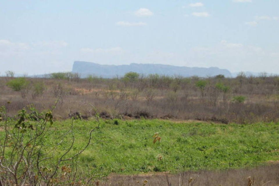 Desertificação atinge 15% do território brasileiro