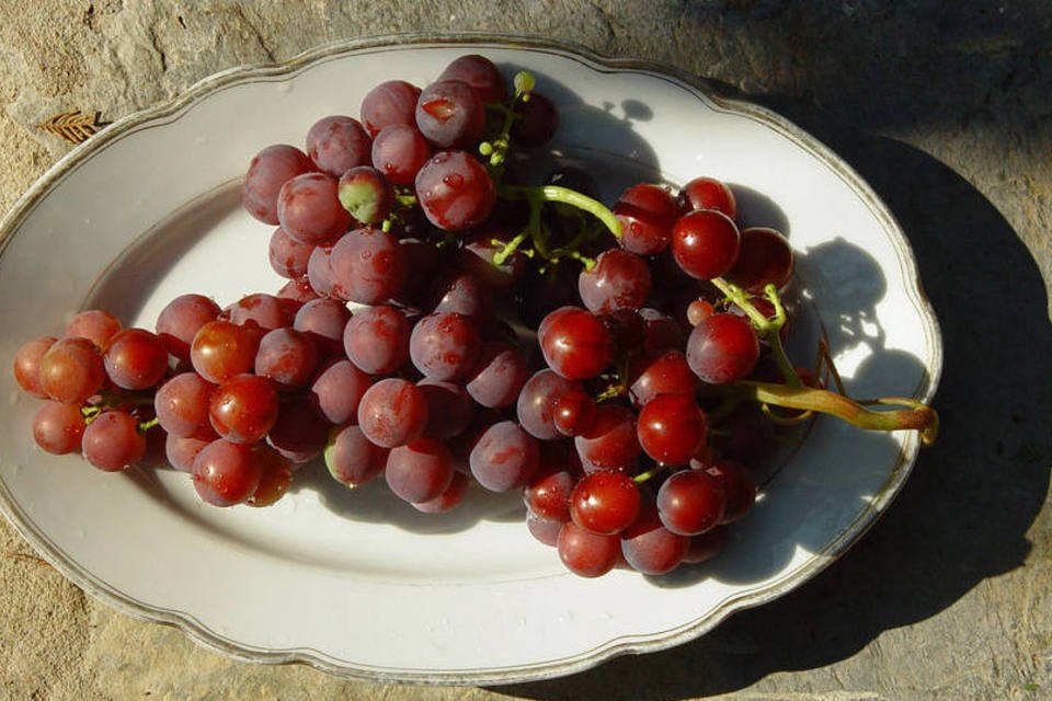 Mudança climática faz ressurgir uvas esquecidas em Champagne