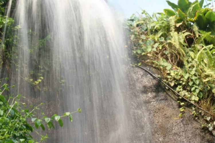 Cachoeira na Amazônia artificial do Projeto Éden (Luis Bulcão / VEJA.com)