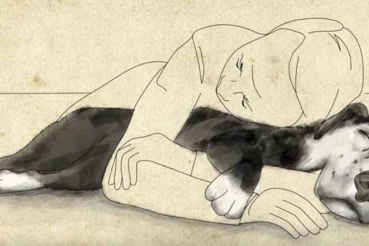 
	A&ccedil;&atilde;o da Humane Society: o objetivo &eacute; mostrar que a ado&ccedil;&atilde;o desses animais pode ser um &oacute;timo acontecimento para os dois lados
 (Reprodução/YouTube)