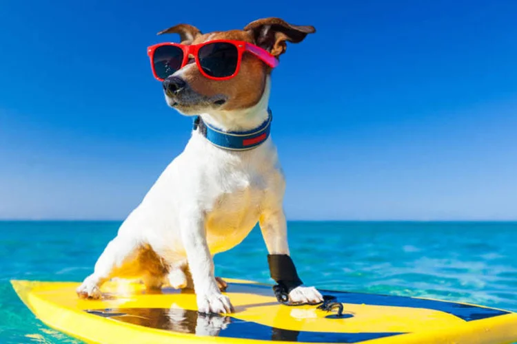 Na boa onda (Thinkstock)
