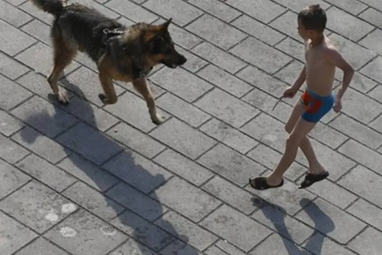 Menina brinca com seu cão em Viena durante a tarde de sol: no entanto, às vezes os transtornos de comportamento dos animais persistem e se tornam recorrentes (©AFP / Alexander Klein)