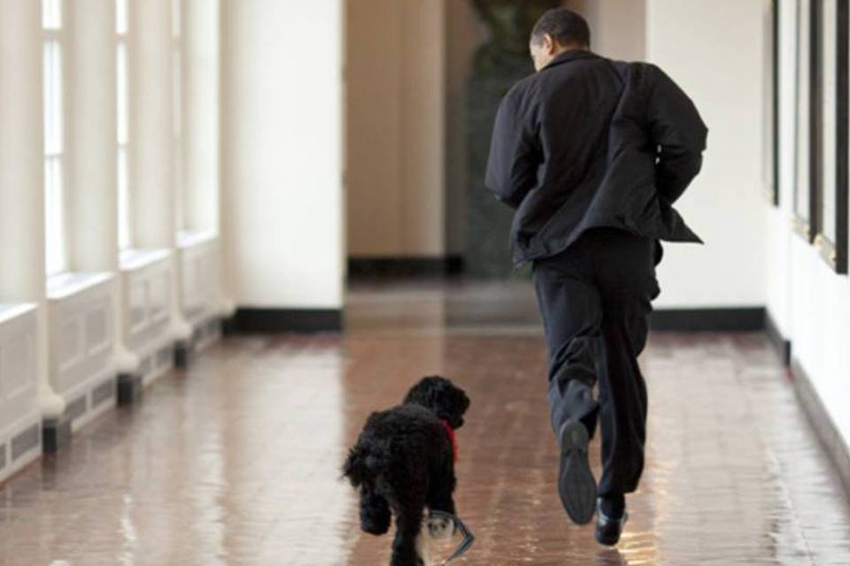 Cachorro da família Obama faz aniversário e ganha vídeo
