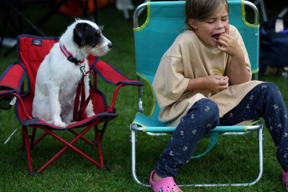 Como um Nobel de Fisiologia explica o mercado com um cão