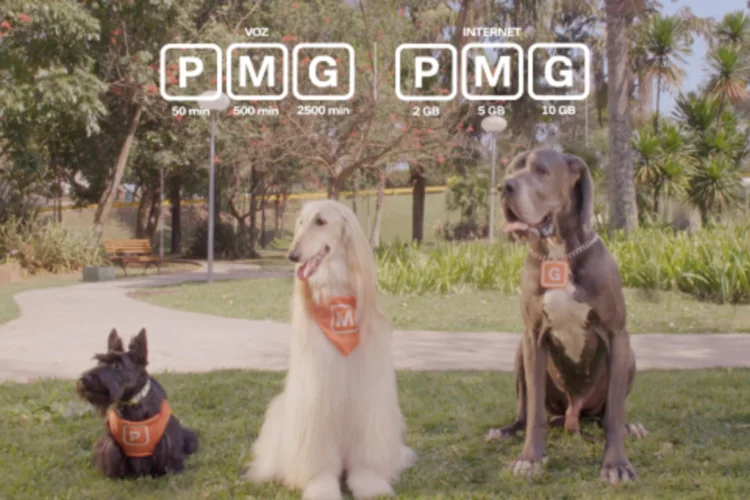 
	O v&iacute;deo traz cachorros muito semelhantes aos seus donos, representando as combina&ccedil;&otilde;es (Pequeno, M&eacute;dio e Grande) dos planos da operadora
 (Reprodução/YouTube)