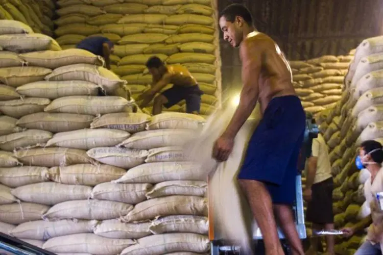 
	Sacos de caf&eacute; s&atilde;o empilhados: o maior produtor de mundial de caf&eacute; produzir&aacute; 42 milh&otilde;es de sacas na atual safra
 (Marcos Issa/Bloomberg News)