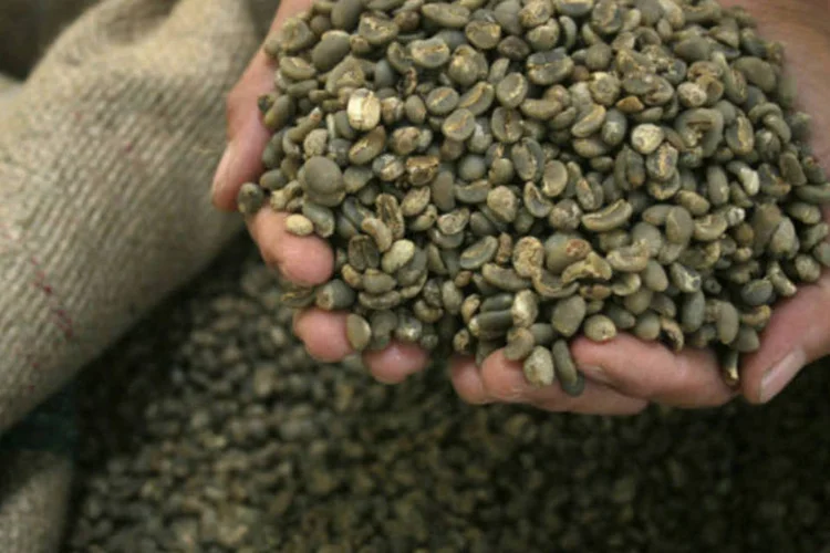 
	Produtor segura gr&atilde;os de caf&eacute;: dados do Instituto Nacional de Meteorologia (Inmet) mostraram que a &aacute;rea registrou temperaturas de 3,1 graus durante a noite
 (REUTERS/YT Haryono)