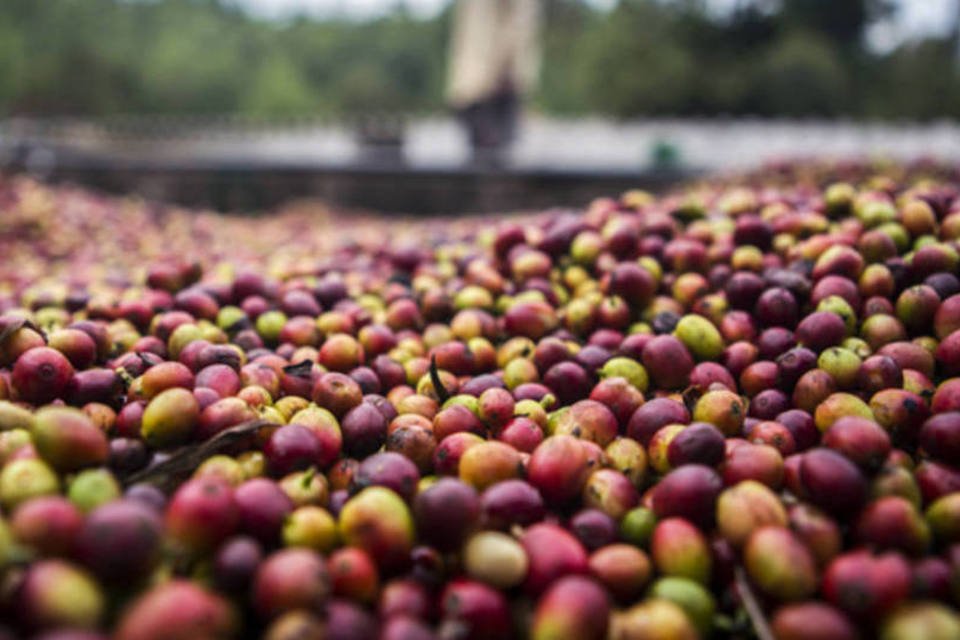 Cecafé vê aumento nas exportações do Brasil em 2014