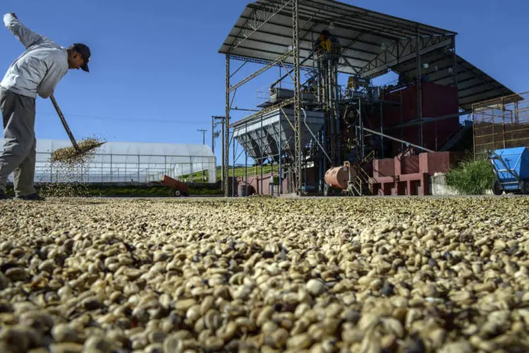 
	Homem revira gr&atilde;os de caf&eacute;: a Col&ocirc;mbia, maior produtor mundial de caf&eacute; ar&aacute;bica lavado, registrou uma safra de 12,1 milh&otilde;es de sacas em 2014
 (Paulo Fridman/Bloomberg)