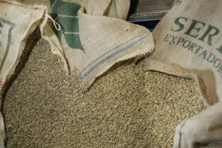 
	Caf&eacute; verde: o ano comercial 2015/16, encerrado em junho, registrou queda de 3,8% nas exporta&ccedil;&otilde;es de caf&eacute; verde
 (Joe Raedle/Getty Images)