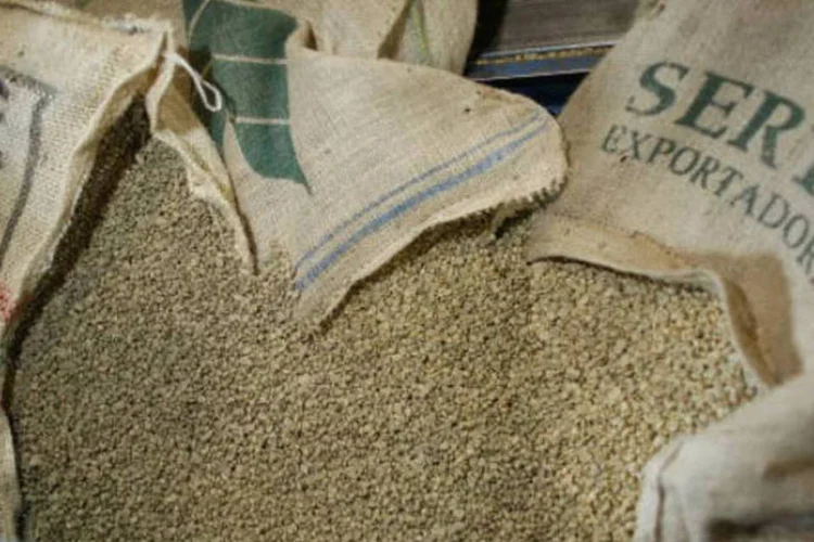 
	Caf&eacute; verde: ele &eacute; rico em antioxidantes, &aacute;cidos clorog&ecirc;nicos, quin&iacute;deos, ligninas e trigonelina, subst&acirc;ncias respons&aacute;veis por seus benef&iacute;cios ao organismo
 (Joe Raedle/Getty Images)