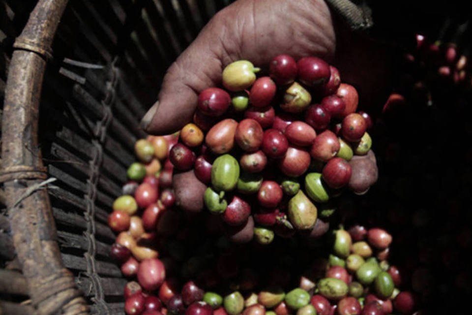 Leilão negocia opções de venda de café a prêmio mínimo