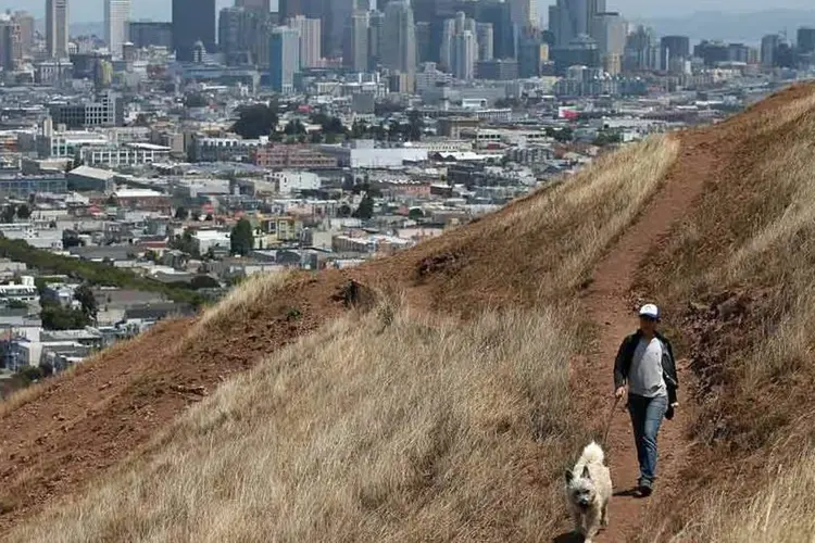 Contraste da paisagem urbana e um morro com a grama toda marrom por conta da sexa na Califórnia (Getty Images)