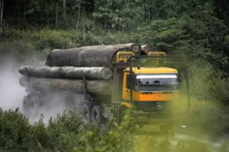 Comércio de madeira tropical já representa 5% do PIB da Malásia, que exporta, principalmente, para União Europeia, Estados Unidos e o Japão (Rahman Roslan/AFP)