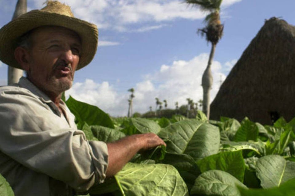 Camponeses cubanos assinam primeiros contratos para venda direta a hotéis