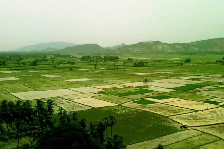 Campos em Andhra Pradesh: expectativa de isenção transforma a maioria dos tomadores de empréstimos agrícolas em inadimplentes (Adityamadhav83/Wikimedia Commons)
